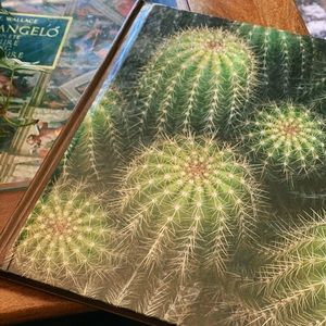 Vintage cacti and succulent book